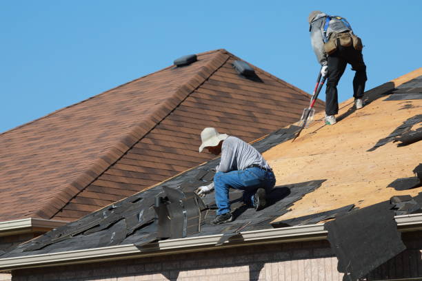 Best Roof Maintenance and Cleaning  in University Park, TX