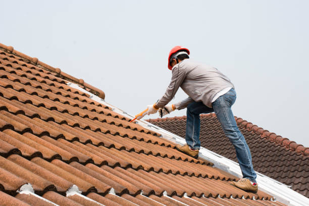 Best Gutter Installation and Repair  in University Park, TX