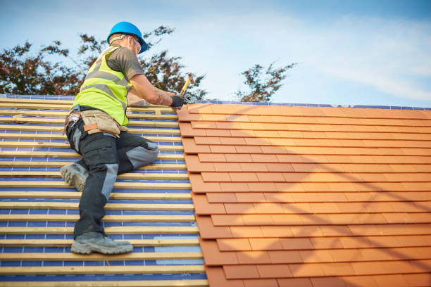 Best Skylight Installation and Repair  in University Park, TX